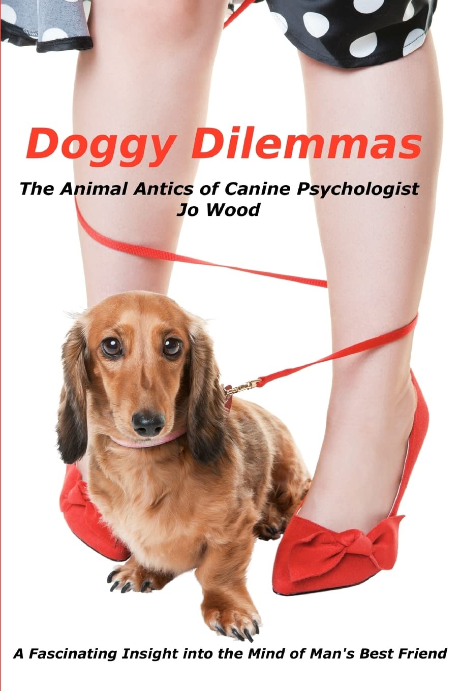 Doggy Dilemmas: The Animal Antics of Canine Psychologist Jo Wood
