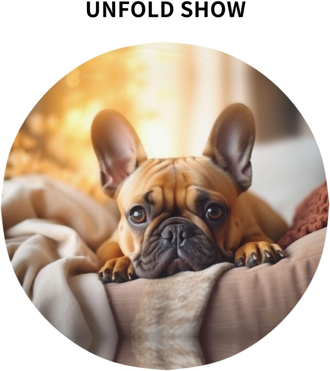 Animal Dog French bulldog1 Print Wrinkle Free Dining Table Cover for Birthday Party Farmhouse Tablecloths Up to 60 x 60 Inches