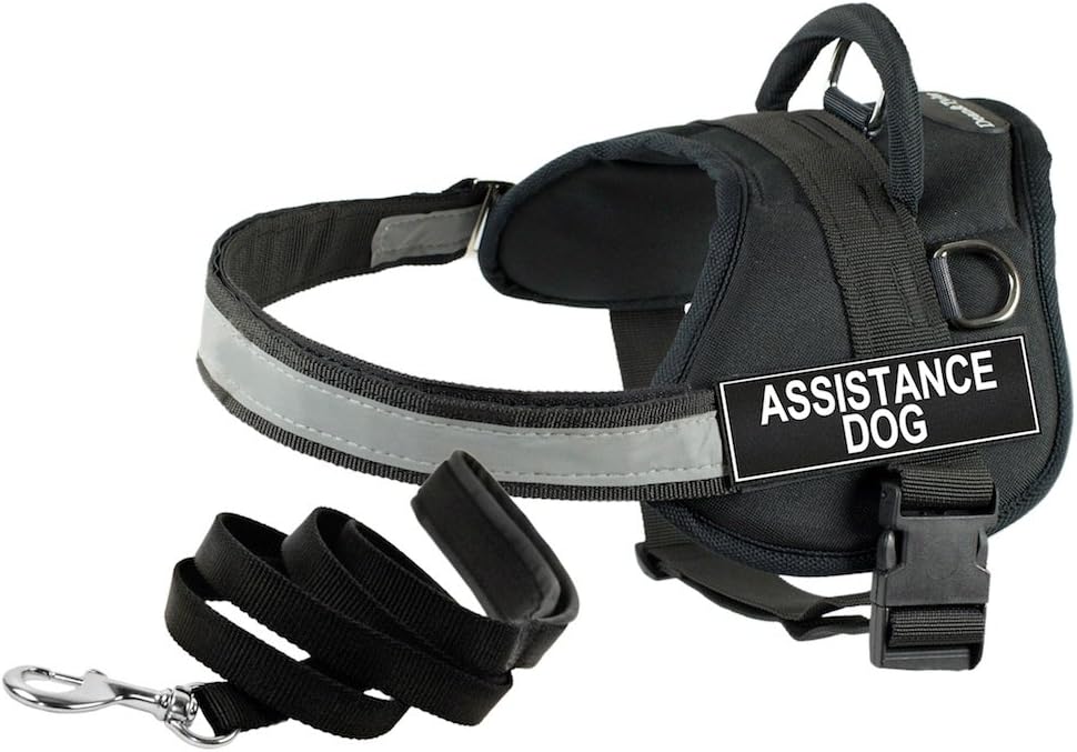 Dean & Tyler 25 to 34-Inch Assistance Dog Harness Padded with 6-Feet Stainless Snap Puppy Leash, Small, Black