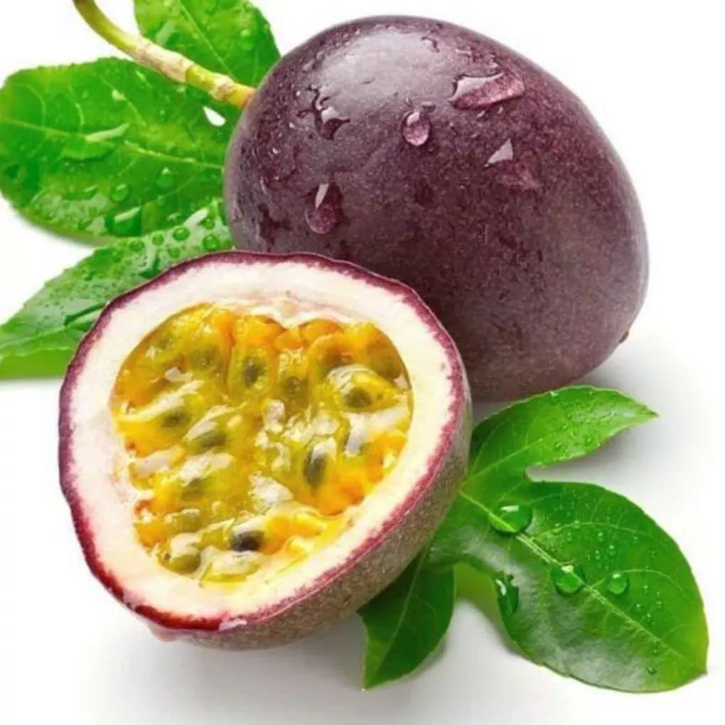 Cloud Farm Exotic Passion fruit Live Plant[CF12]