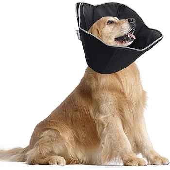 stop dog barking in crate