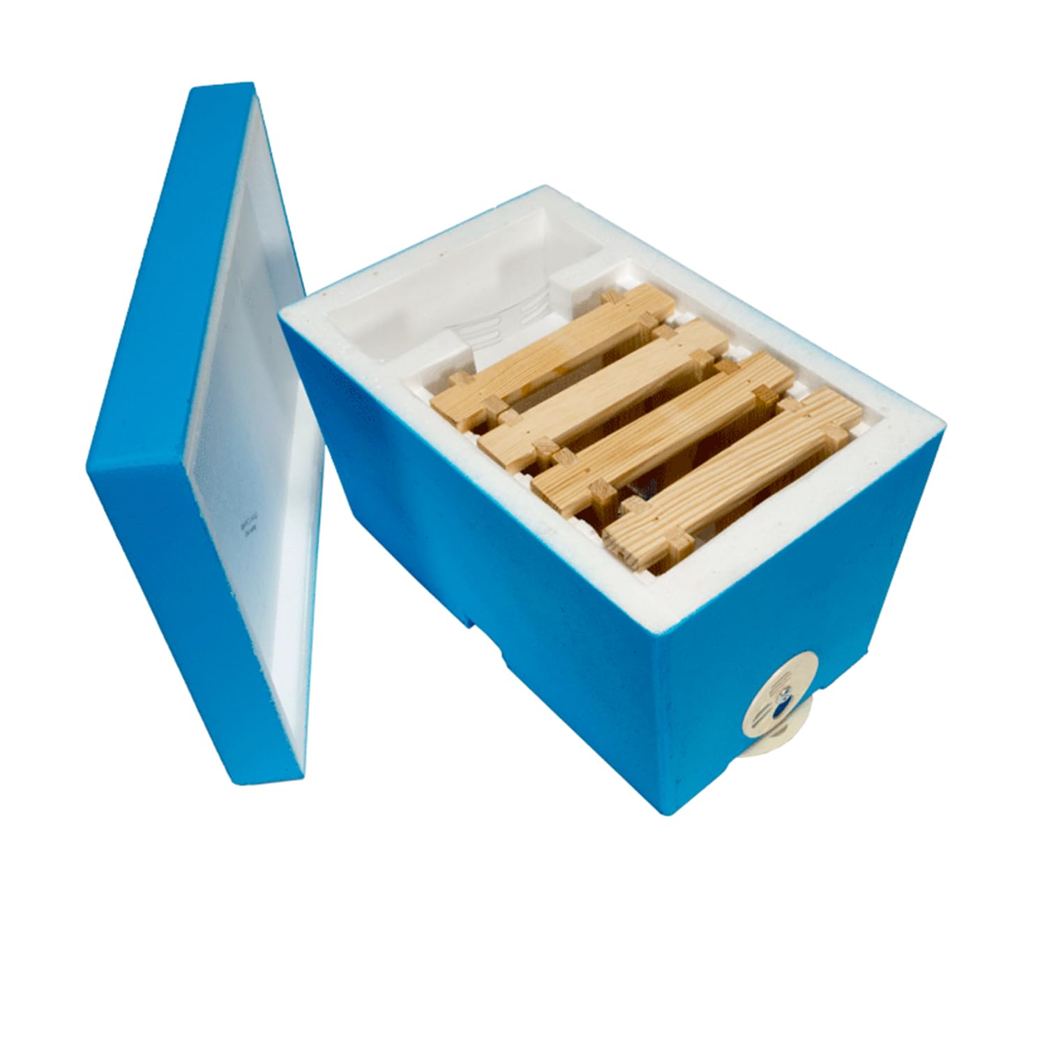 LYSON Mini ruche d'abeilles pour une famille en polystyrène peint - Règle de mariage - Accessoires d'apiculture
