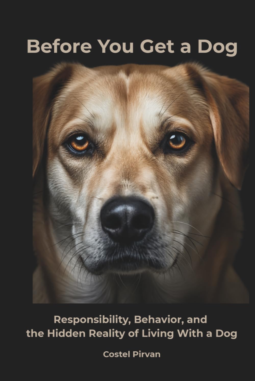 Before You Get a Dog: Responsibility, Behavior, and the Hidden Reality of Living With a Dog