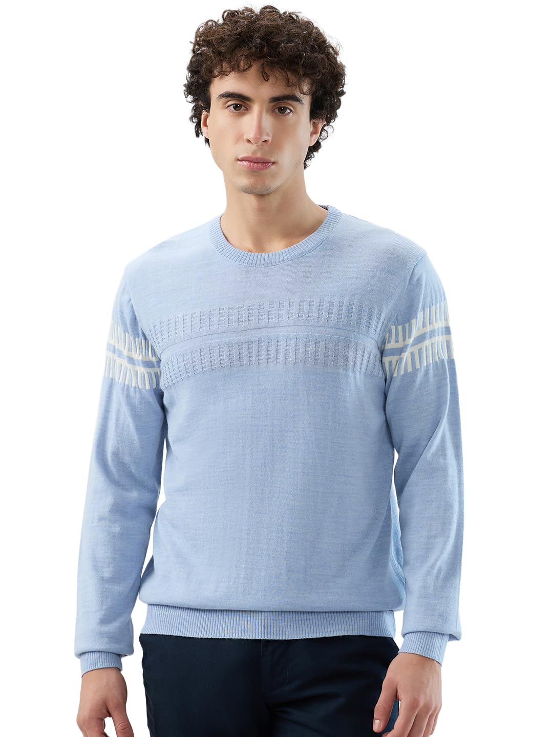 Men Regular Fit Structure Self Pattern Acrylic Wool Blend Full Sleeve Round Neck Casual Sweater