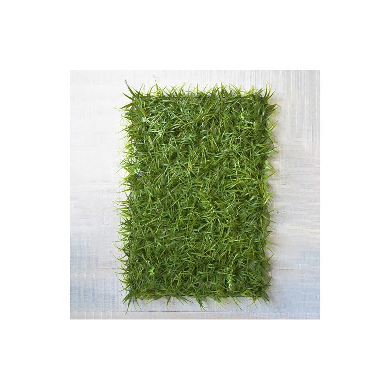Hogar y Mas Jardín Vertical de Pared, Césped Artificial Placa Modular 60x40x5 cm. Diseño Original para Decoración Realista.