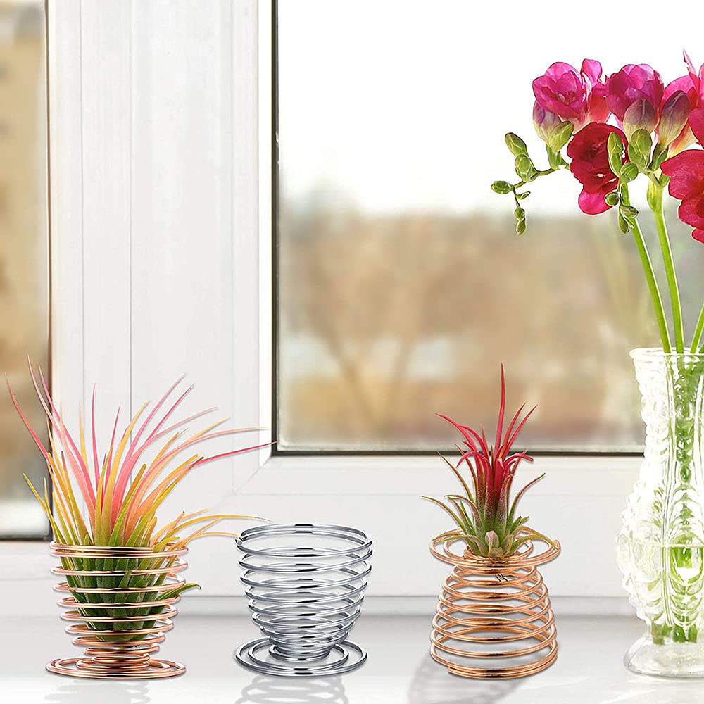 6 pezzi porta piante ad aria in metallo appeso contenore per Tillandsia supporto per piante ad aria a spirale balcone giardino supporto per piante ad aria in metallo decorazioni per la casa