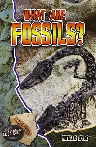 What Are Fossils? (Let's Rock!)