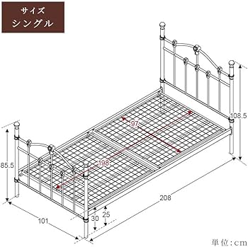 Amazon｜三栄コーポレーション 気分はプリンセス エレガンスアイアン
