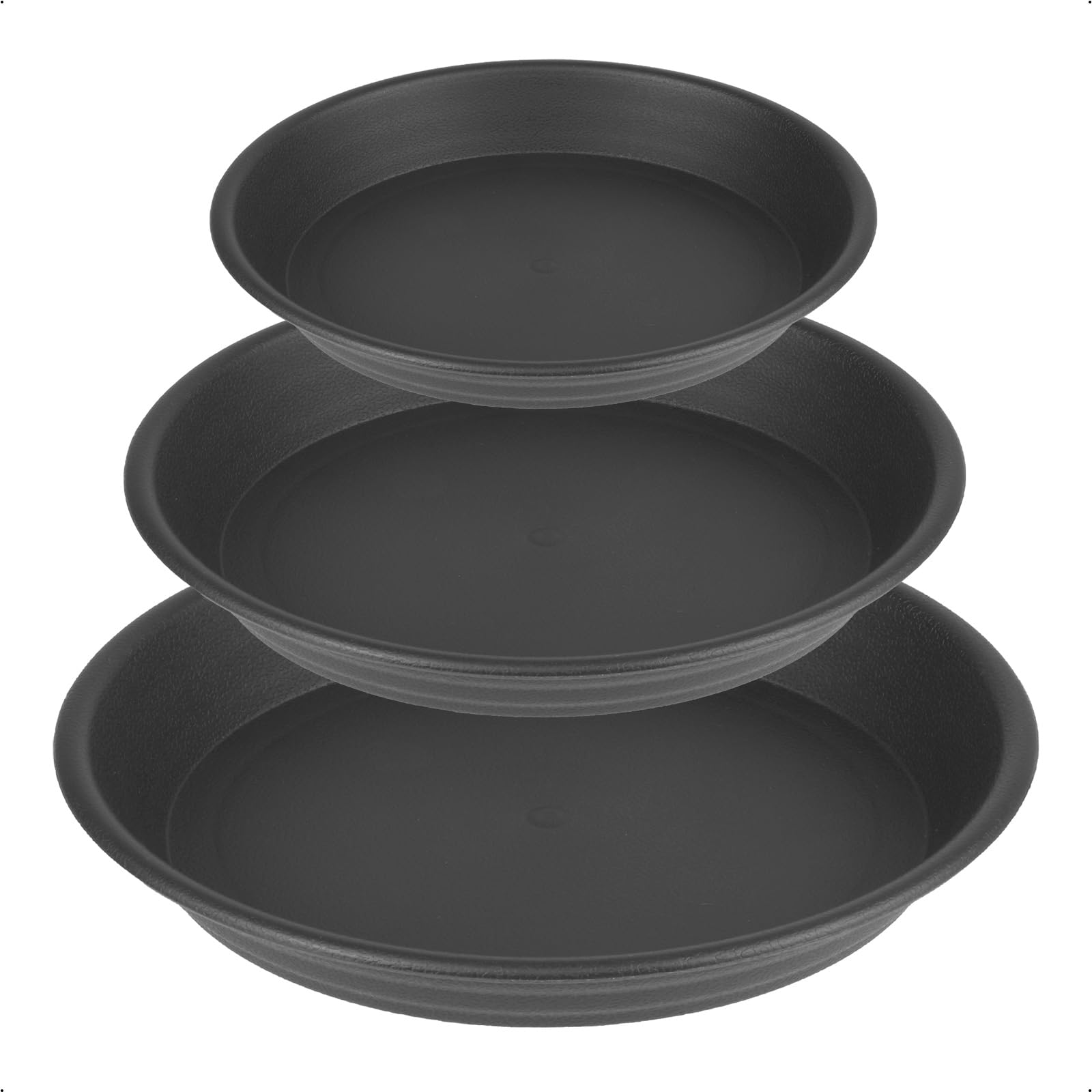 GREGICH 6pk Ash Black