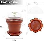 PURPLE STAR 1N 50 Packs Cupcake Plant Nursery Pots with Humidity Dome- Planting Containers Cups- Small Flower Pots with Trays & Lids for Indoor Outdoor Seedling Succulent Vegetable (Wine Red)