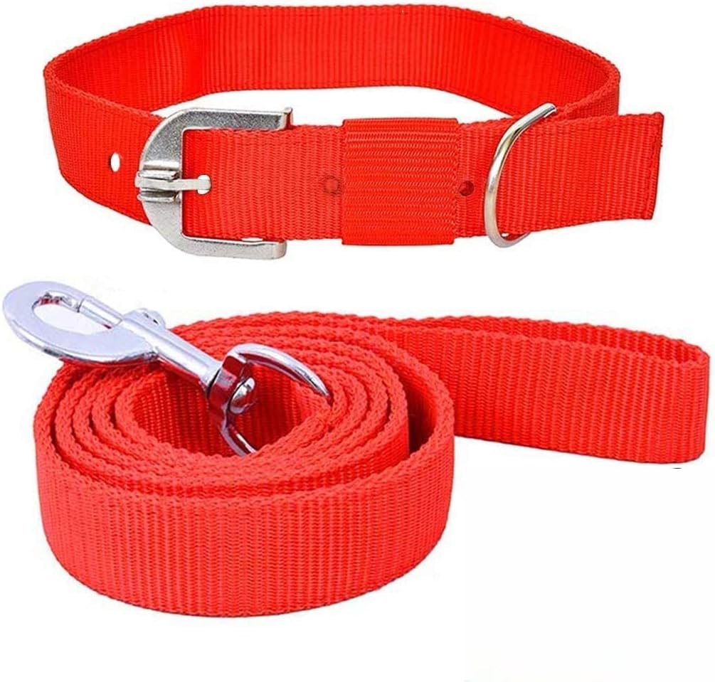 SNOOKUM Dog Leash Collar Set Size 1.50 Dog Collar & Leash (Extra Large, Nylon Leash & Collar Set Size 1.50 INCH ) Color May Vary