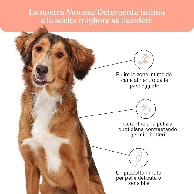 Foto 3 de 8 de BAU Mousse Limpiadora Íntima para Perros sin Enjuague - con Agua de Manzanilla y Aloe Vera Bio