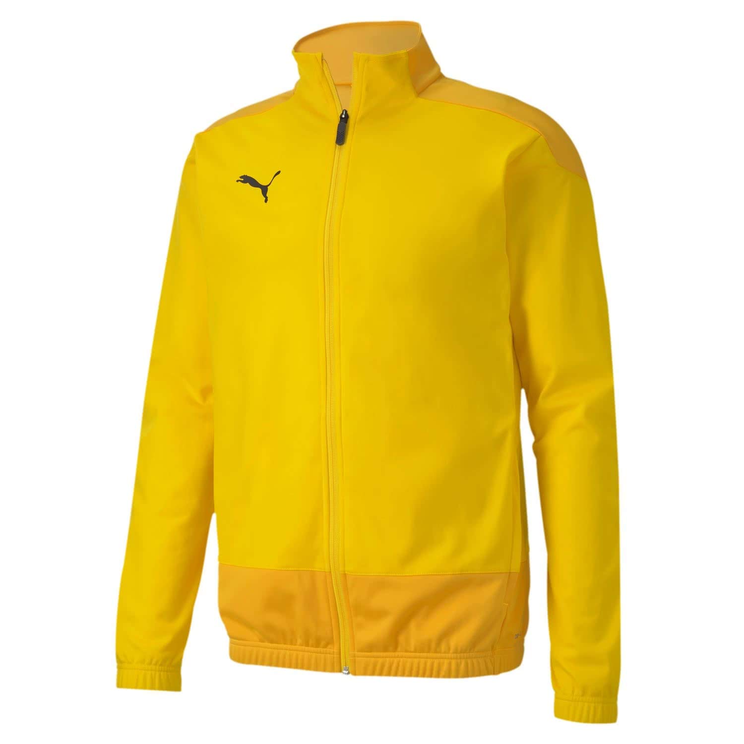 PUMA teamGOAL 23 Training Jacket