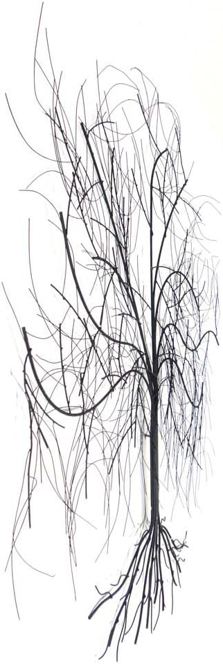 NEW - Contemporary Metal Wall Art Sculpture - Large Oak Tree, Grey, 81L x 90W cm - Image 3
