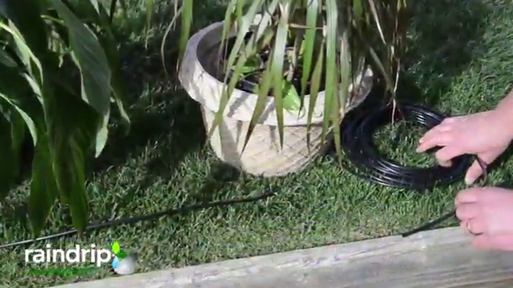 Raindrip-R560DP-Automatic-Watering-Kit-for-Container-and-Hanging-Baskets-Water-up-to-20-plants-with-this-kit-Black Raindrip-R560DP-Automatic-Watering-Kit-for-Container-and-Hanging-Baskets-Water-up-to-20-plants-with-this-kit-Black