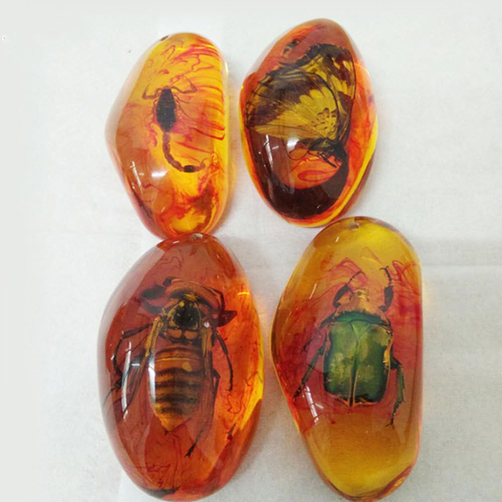 Milisten Mezcla de fósiles de con piedras de muestras de insectos. "Kristallproben Wohnaccessoires - Colección de colgantes ovalados para niños (2 unidades)