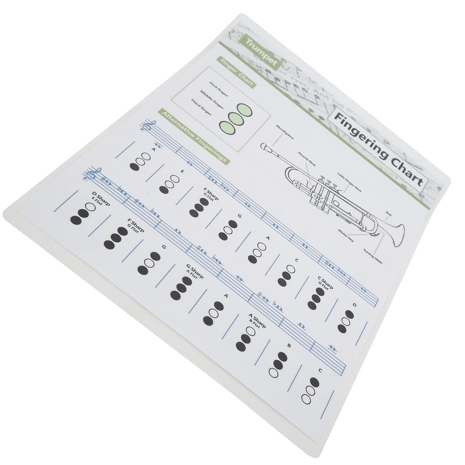 Trumpet Chord Chart, Fingering Note Music Instrument Chords Reference P Scales Sheet Folders Guide for Home ClassSmall Practice Chart) (Small chord table (small size))