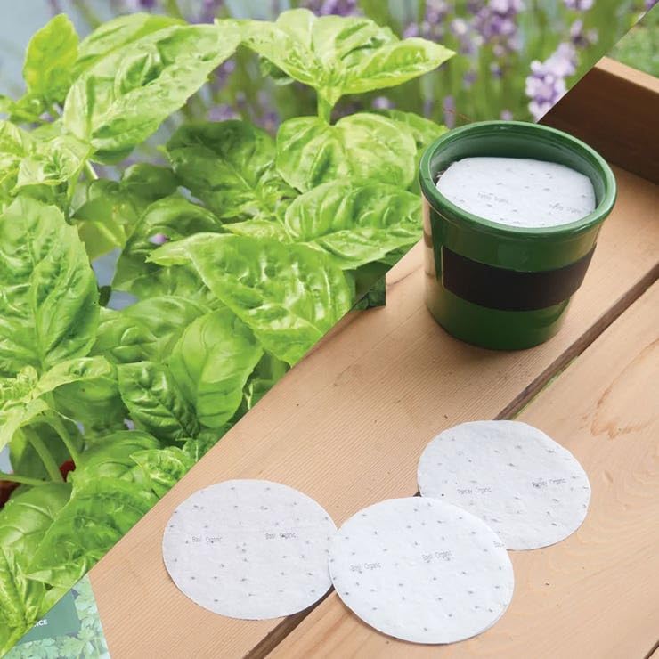 Park-Seed-Easy-DIY-Planting-Sow-Effortless-Collection-Seed-Discs-Organic-Sweet-Basil-Set-of-3
