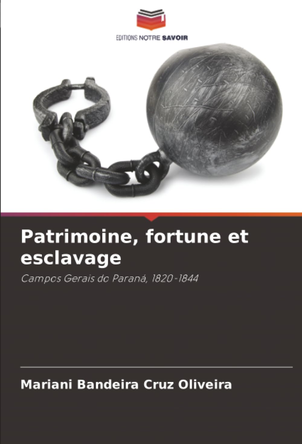 Patrimoine, fortune et esclavage: Campos Gerais do Paraná, 1820-1844