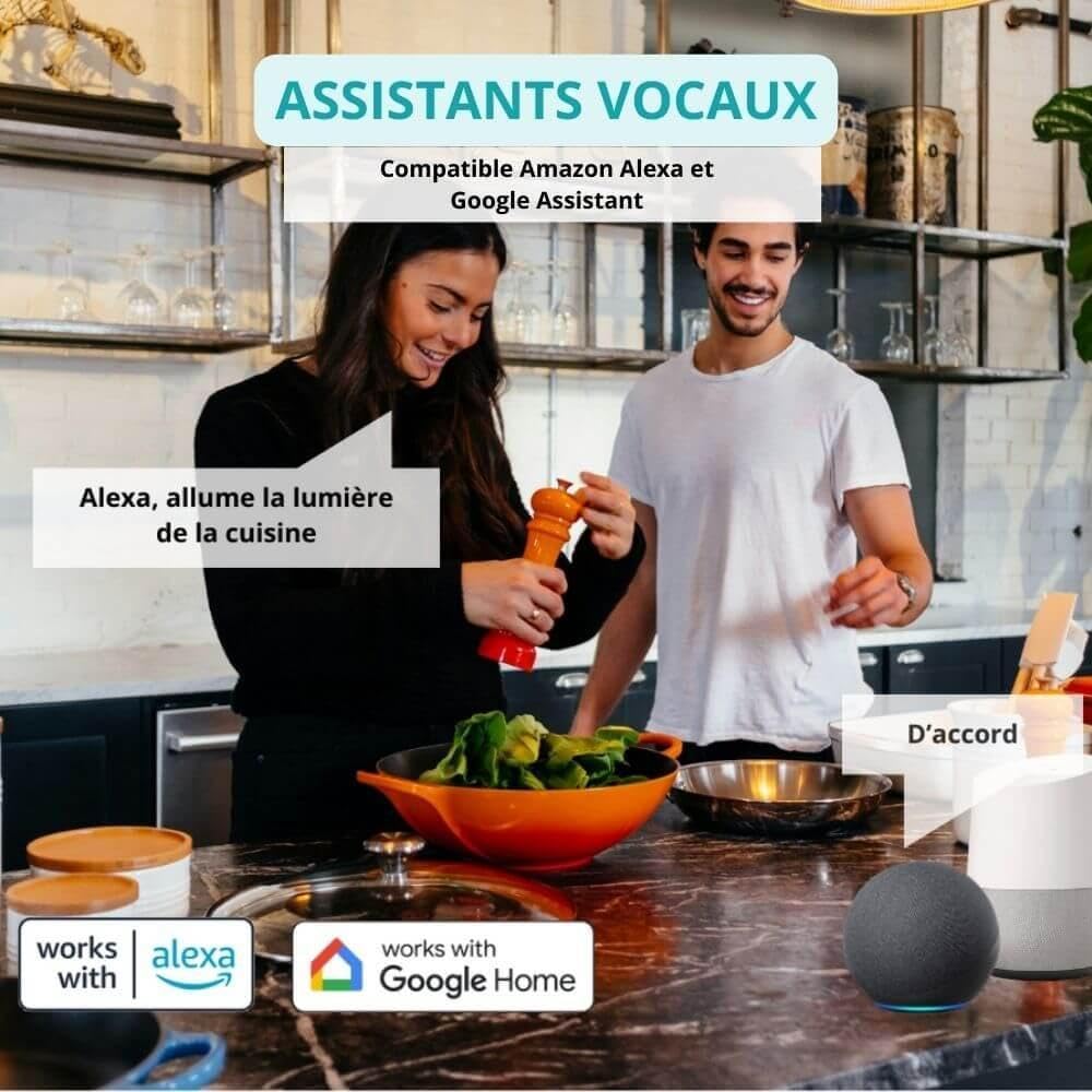 ZenGO Pack 4 Prise connectée WiFi, 20A Type E/F, Suivi de consommation, Contrôle à Distance, Compatible Alexa, Google Home, SmartLife et Tuya