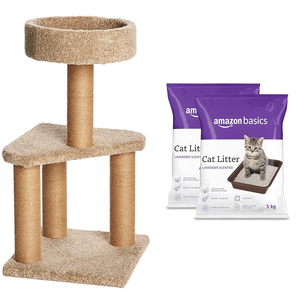 Buy AmazonBasics Cat Activity Tree with Scratching Posts, Medium
