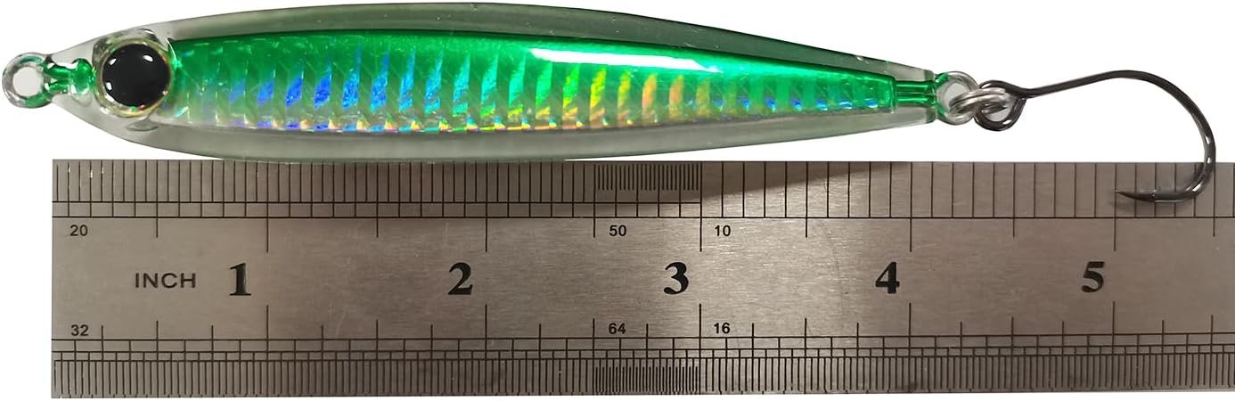 Kmucutie 5 Pieces Epoxy Resin Fishing Jig Lure Great for Inshore and Offshore Game Fish,Artificial Lures for Grouper,Dogtooth,Bass Salmon