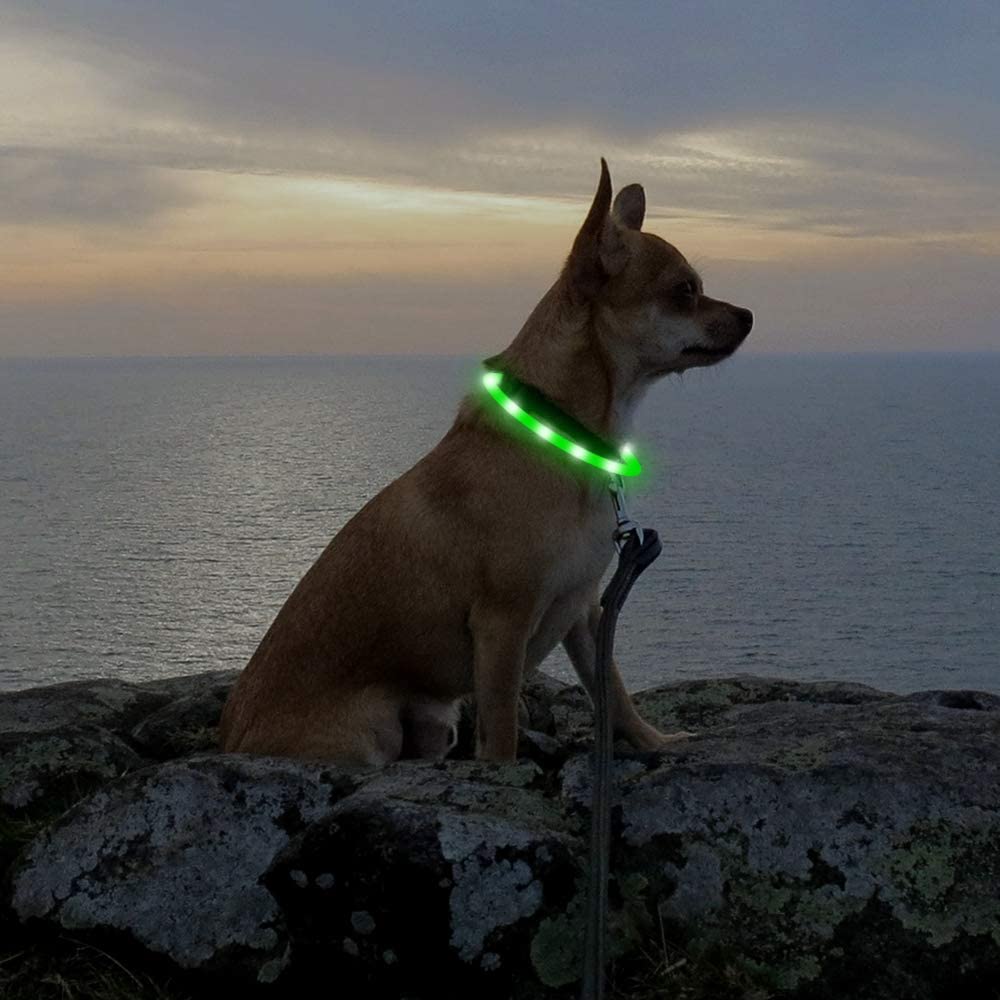 HIGO Collar de perro LED, recargable por USB, collar de perro con luz brillante, collar de perro ligero de silicona para tus perros pequeños, medianos y grandes (verde)