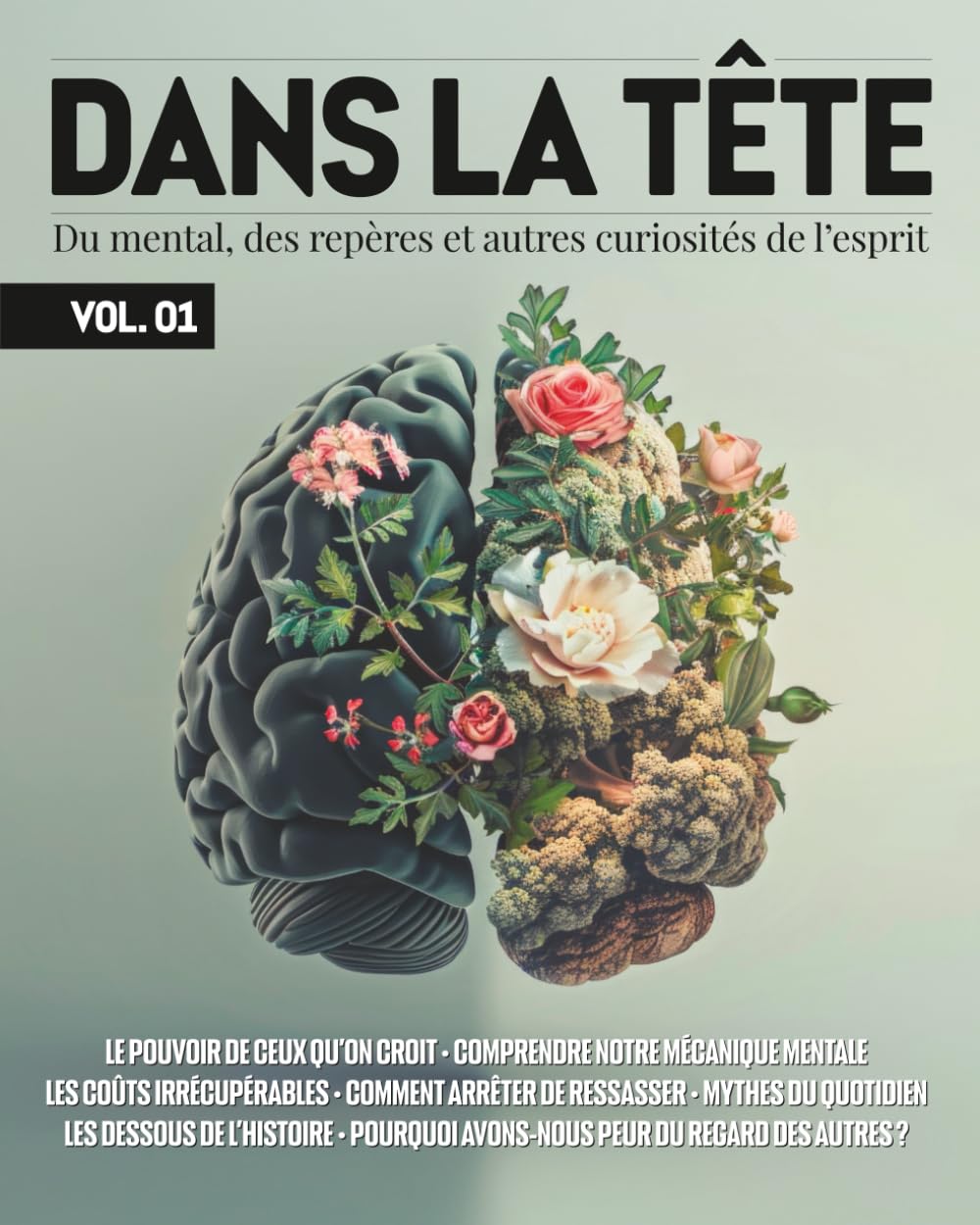 Dans la tête (volume 1): Du mental, des repères et autres curiosités de l'esprit