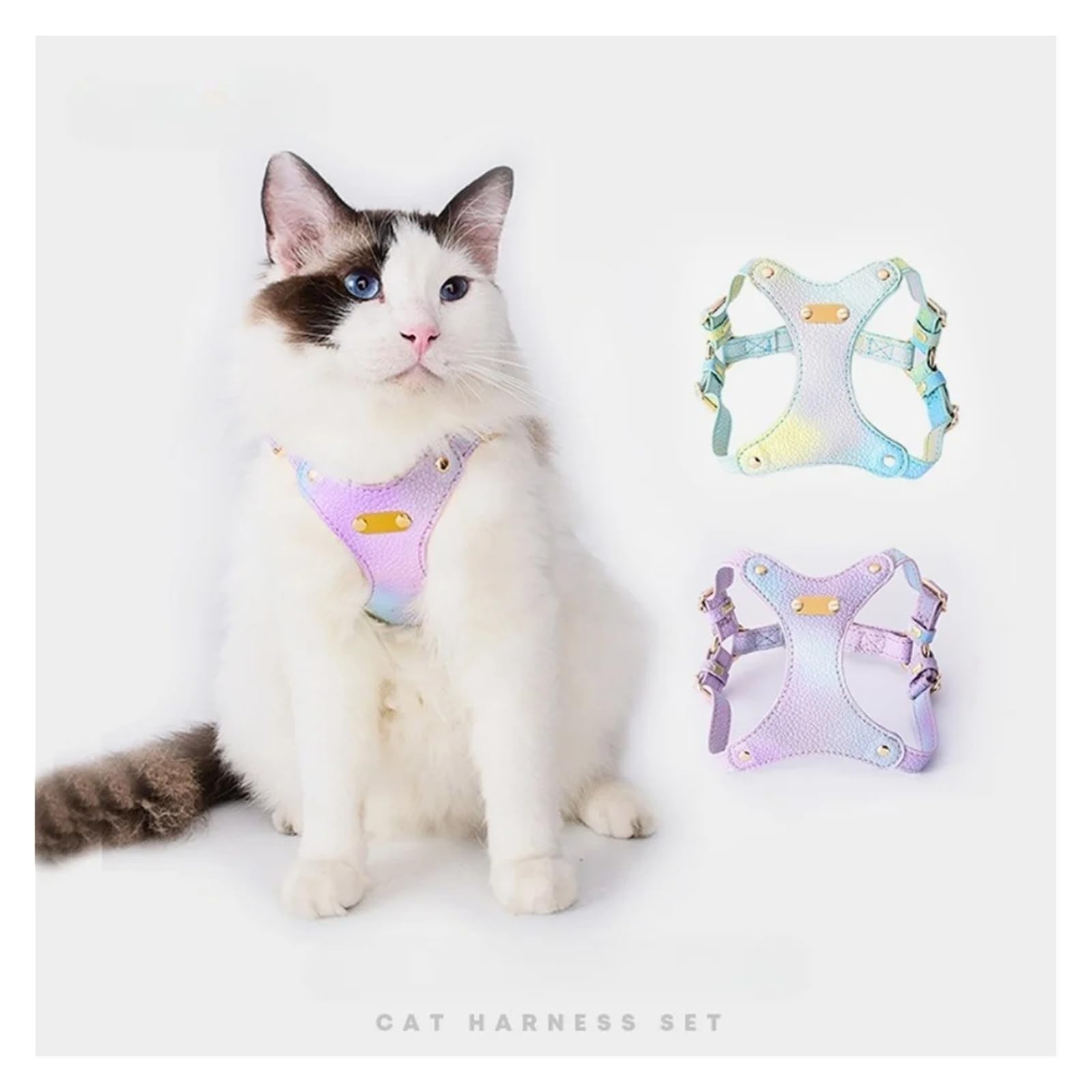 Harnais anti-échappement en cuir souple et imperméable pour chat, chihuahua et petit chien (bleu, taille M)