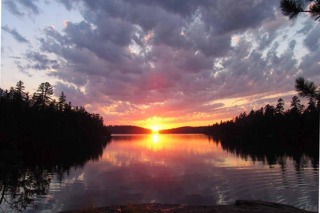 PigBangbang,Intellectiv Games Photomosaic Jigsaw Puzzle Basswood in a Box 1000 Piece 29.5 X 19.6'' Famous Paintings Mural Home Decoration-Golden Sunset