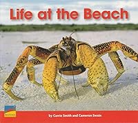 LIFE AT THE BEACH 1410860205 Book Cover