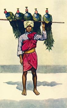 A peacock seller in India. Peacocks are sold for their meat and feathers. From a contemporary print c.1935. Poster Print by Ken Welsh 10 x 17