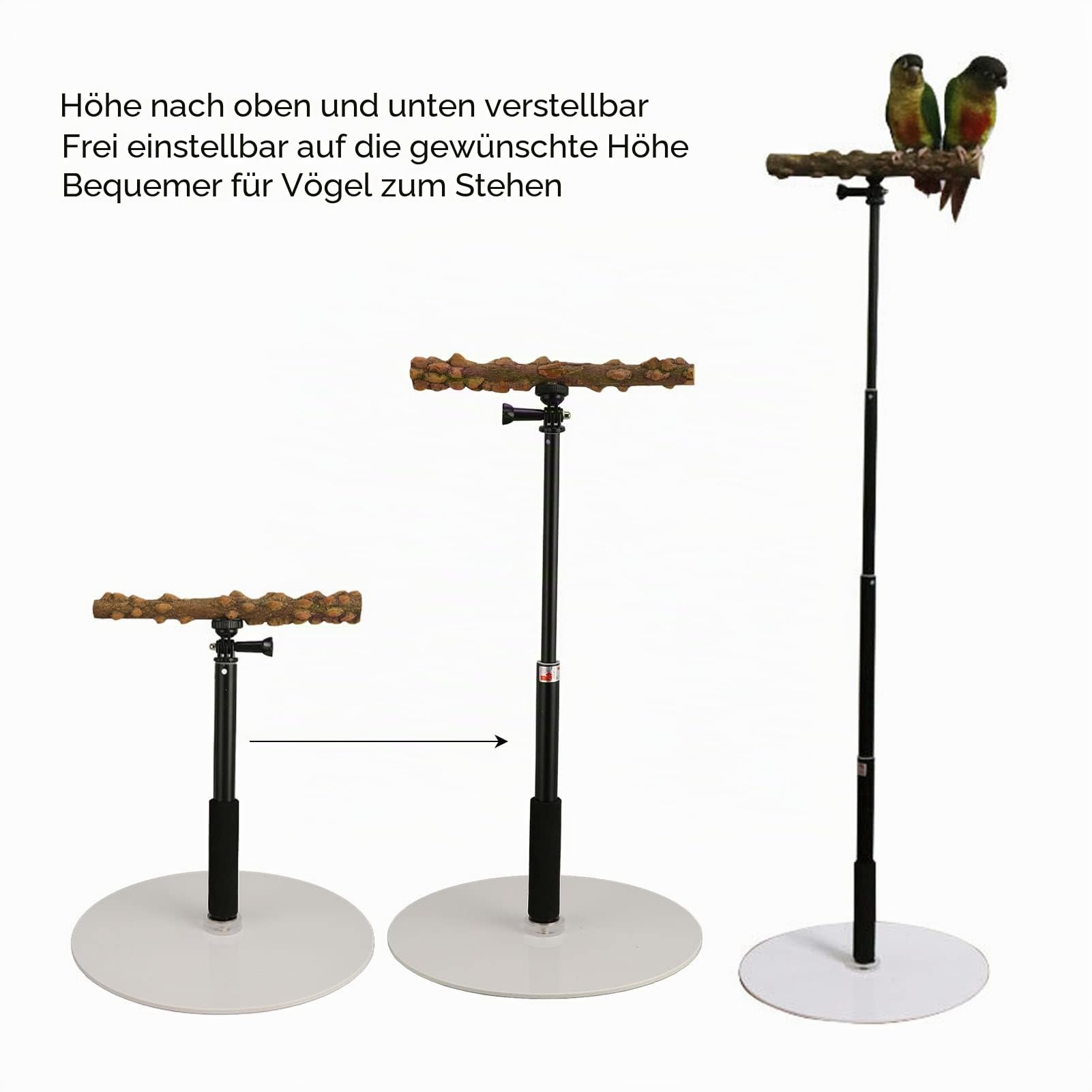 ASHATA Papageien-Spielständer, Verstellbare Vogelstange, Tragbarer, Abnehmbarer Papageien-Spielständer für Reisende Vögel Im Innen- und Außenbereich Zum Stehen, Klettern oder Spielen