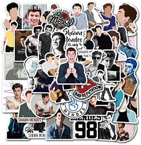 Singer Shawn Mendes Stickers for Water Bottles, 50 Pack Stickers Trendy Laptop Stickers Guitar Computer Water Bottle Stickers for Teen Children (Shawn Mendes)
