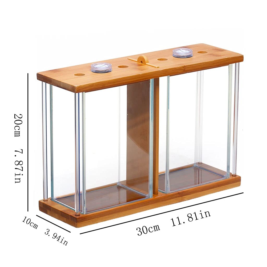 Pecera Creativa de Cristal Bilateral, Transparente, Betta, Rectangular, pequeña Planta de Agua Ornamental, Oficina, hogar, Acuario