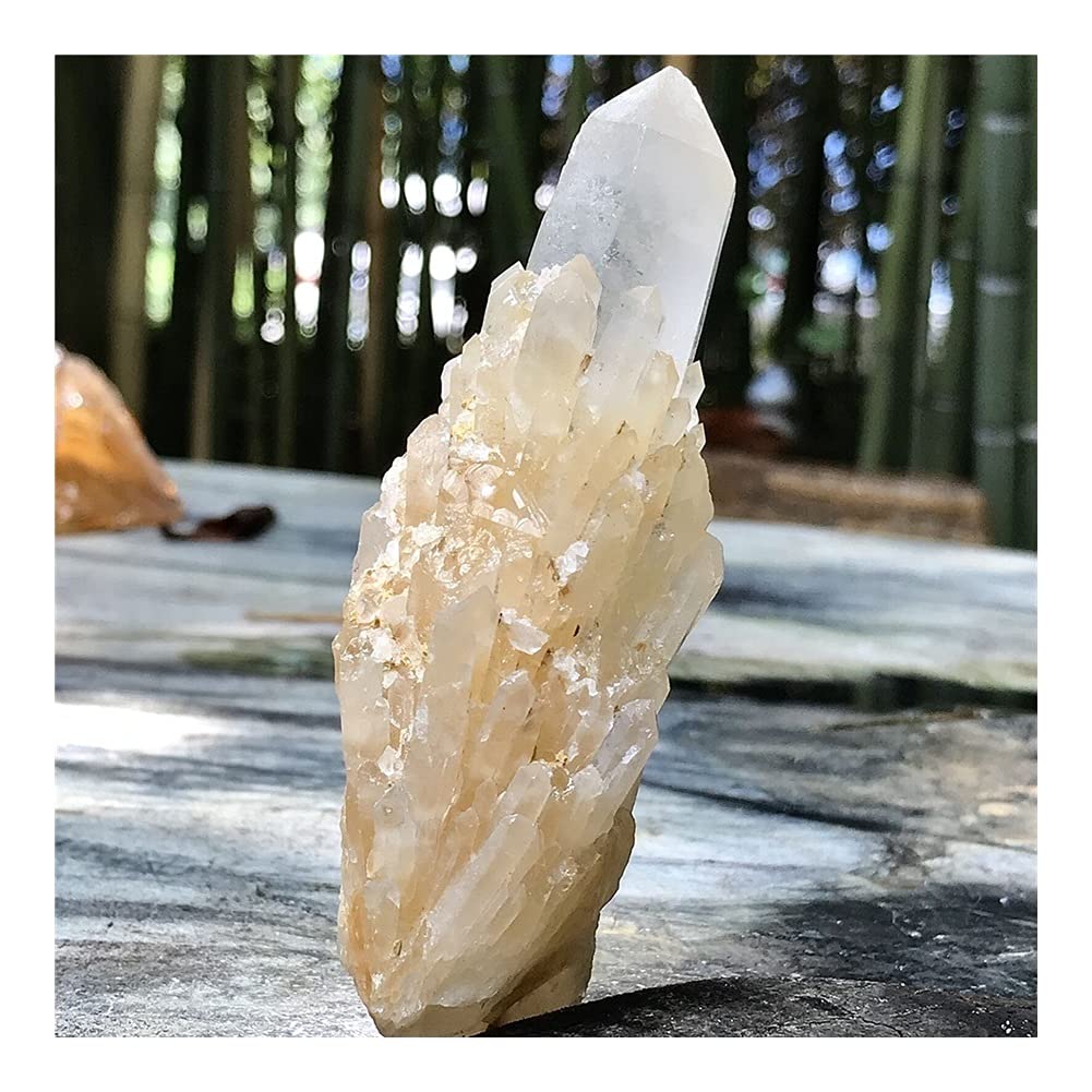 Amazon.co.jp: 天然の美しいパイナップル水晶クラスター標本
