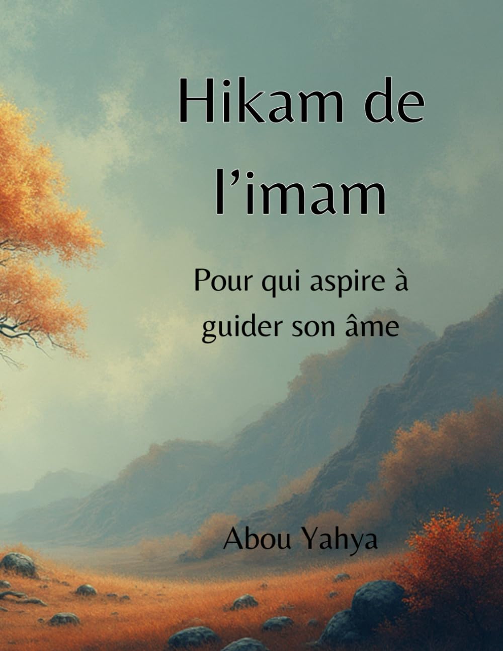 Hikam de l'imam: Pour qui aspire à guider son âme