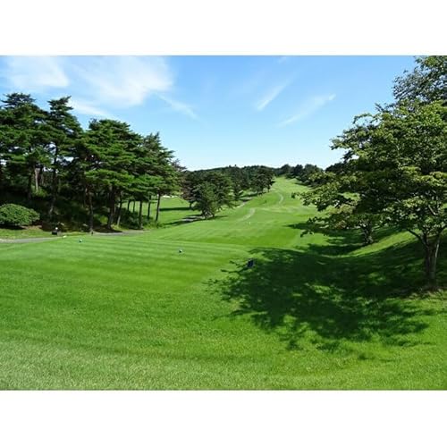 鹿島カントリー倶楽部 土日祝 ペアプレー券|ゴルフ場チケット ゴルフ券 体験型ふるさと納税 体験チケット 福島 南相馬 ※ゴルフ利用税・ロッカー・食事別[52002]