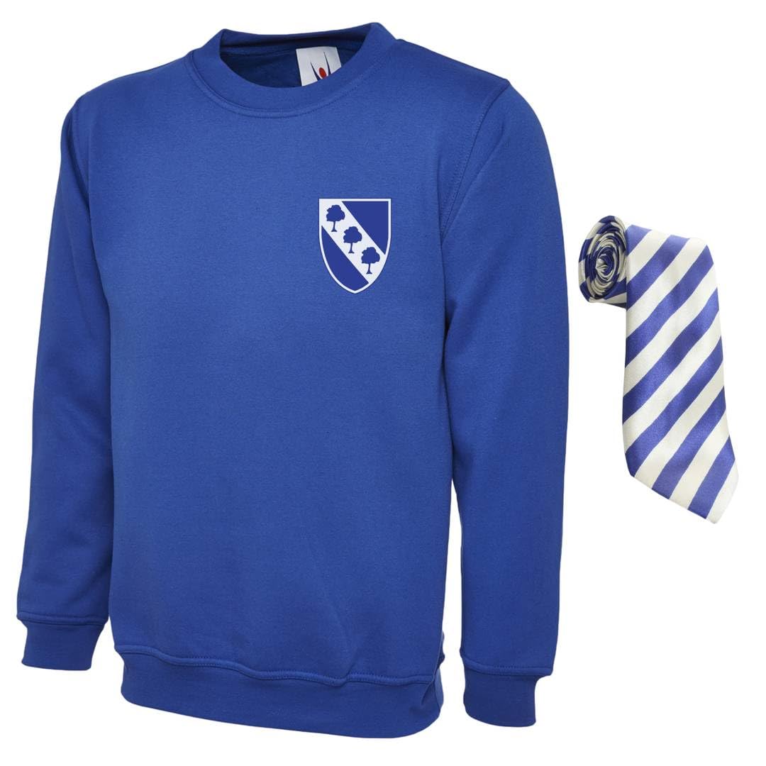 Inbetweener Costume - Adult Blue School Jumper & Striped Tie