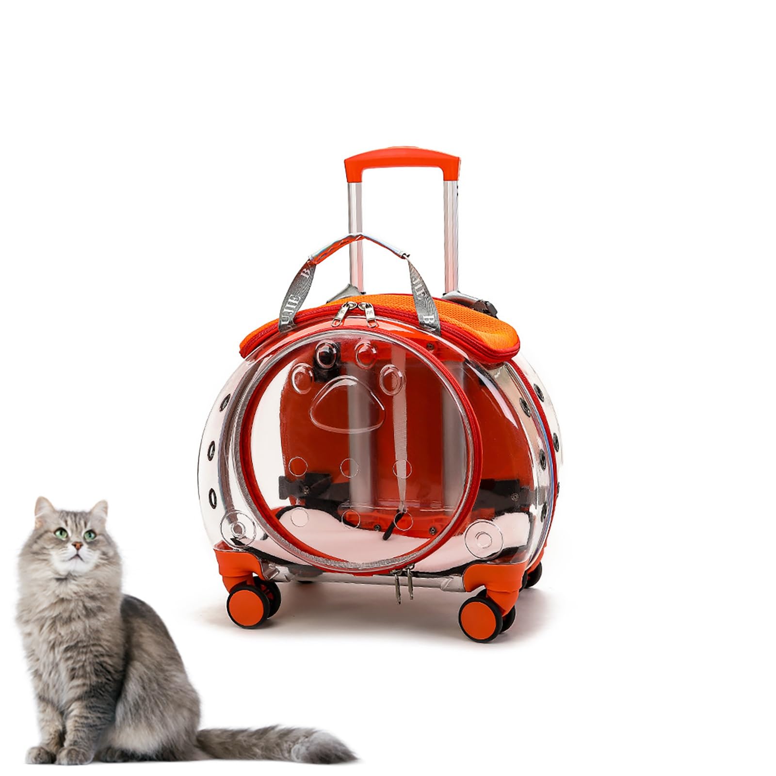 Transportín para Gato con Ruedas – Mochila Trolley Transparente Rígida y Transpirable, con Ruedas Silenciosas 360°, Correas Desmontables y Panel Posterior Ventilado – Para Gatos y Perros hasta 10 kg(O