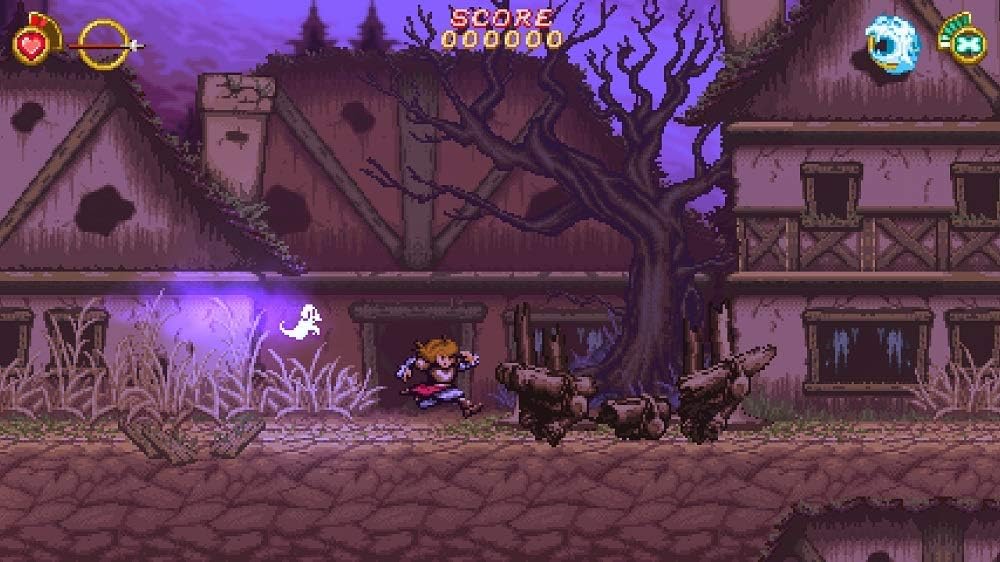 Amazon.com: Battle Princess Madelyn for PlayStation 4 (Limited Run