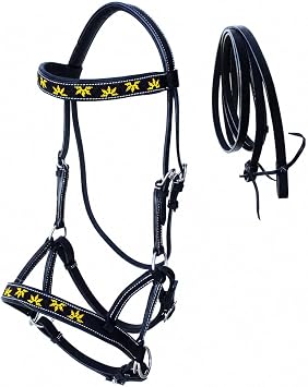 CHALLENGER Horse Western Leather Beaded Bitless Sidepull Bridle Reins Sun Flower 77RS24