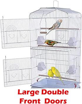 66-Inch Large Bird Flight Cage with Open Play Top & Rolling Stand for Parrots Conures Lovebirds Cockatiels Parakeets Finches Budgies Canaries Aviaries