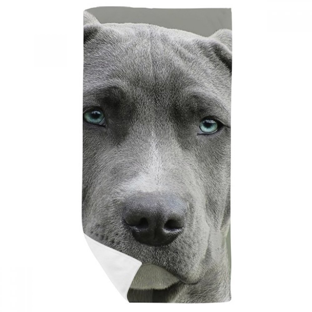 Serviette de bain photo de chien pour une touche ludique et douce dans votre salle de bain