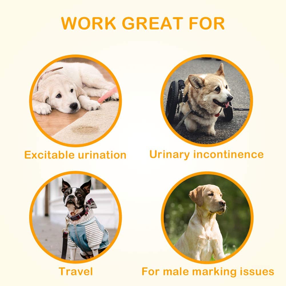 Dono Pannolini per cani e animali domestici, usa e getta, per cuccioli e cani, super assorbenti (6 l – 48 count)