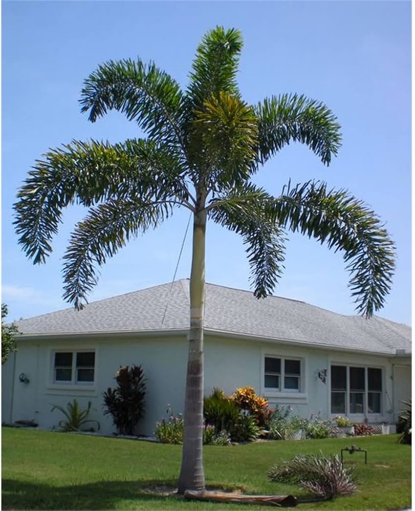 Xotinimning rus dugonasi meni sikishga kondirishimni soraydi. Kelinimni siking