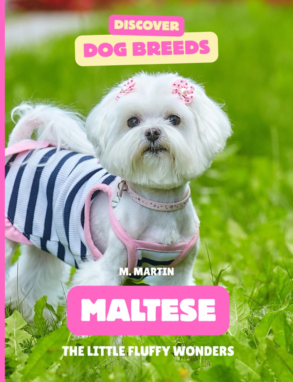 Maltese: The Little Fluffy Wonders (Discover Dog Breeds)