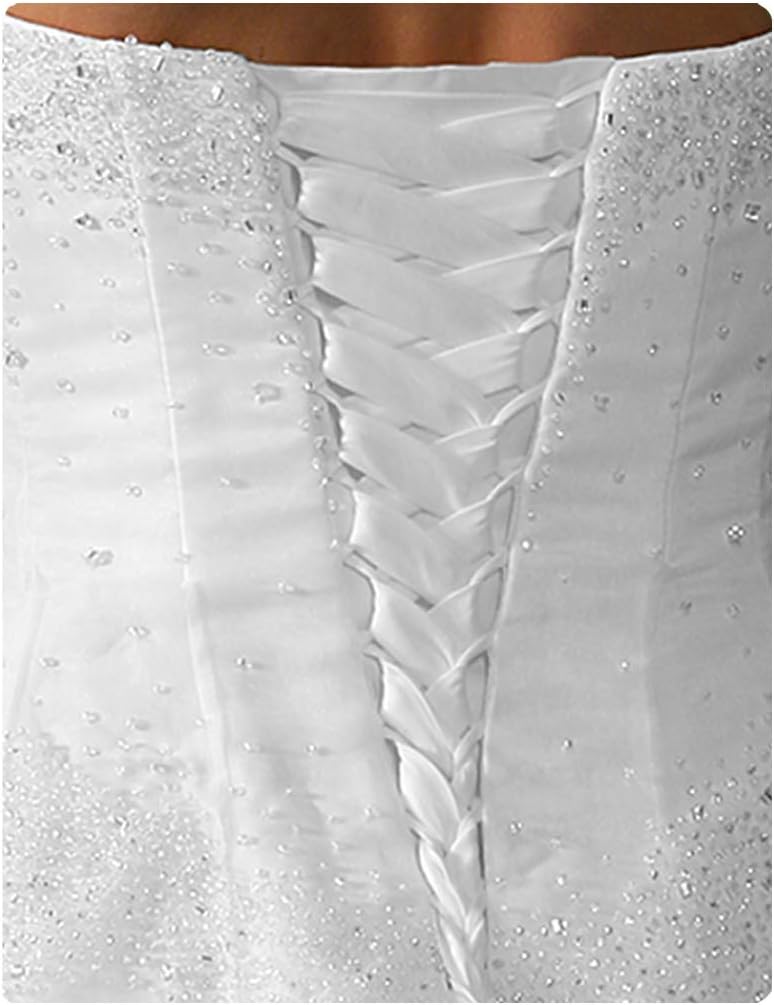 Laceeis Wedding Gown Replace Zipper Corset Back Kit Lace-up White Taffeta 16"