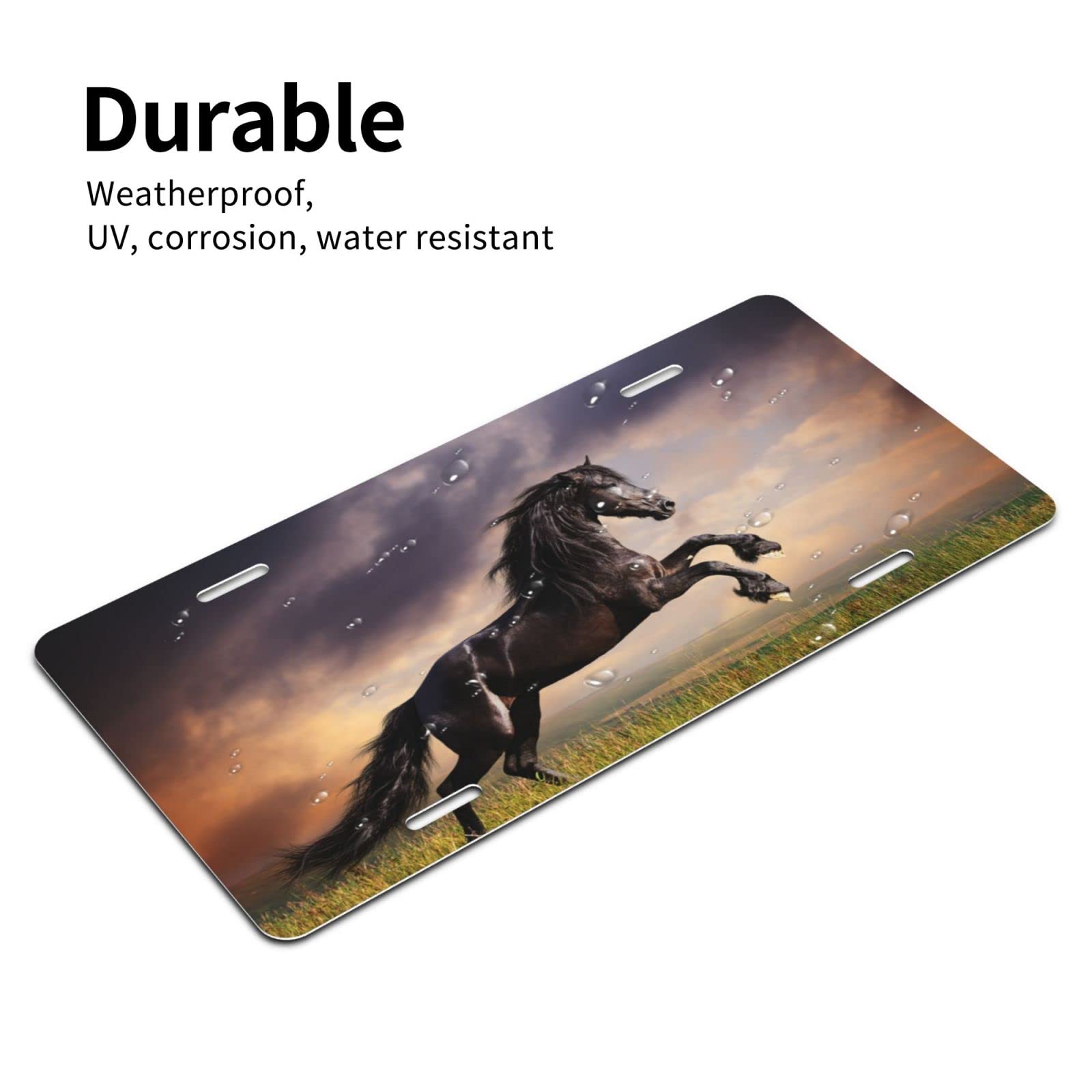 Daiwugou Friesian Black Horse Running License Plate ,Decorative