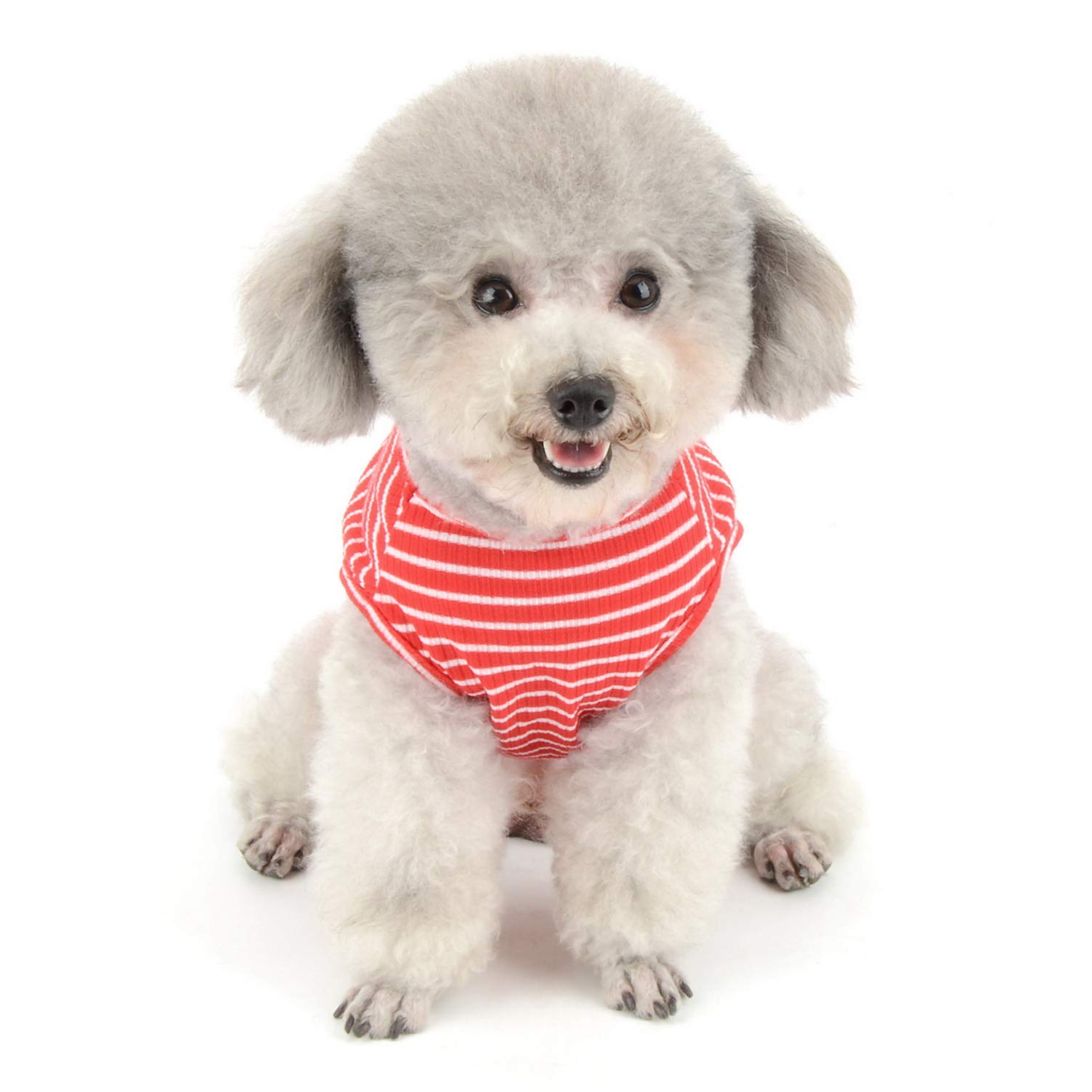 Smalllee_Lucky_Store Vêtements pour Animaux domestiques
